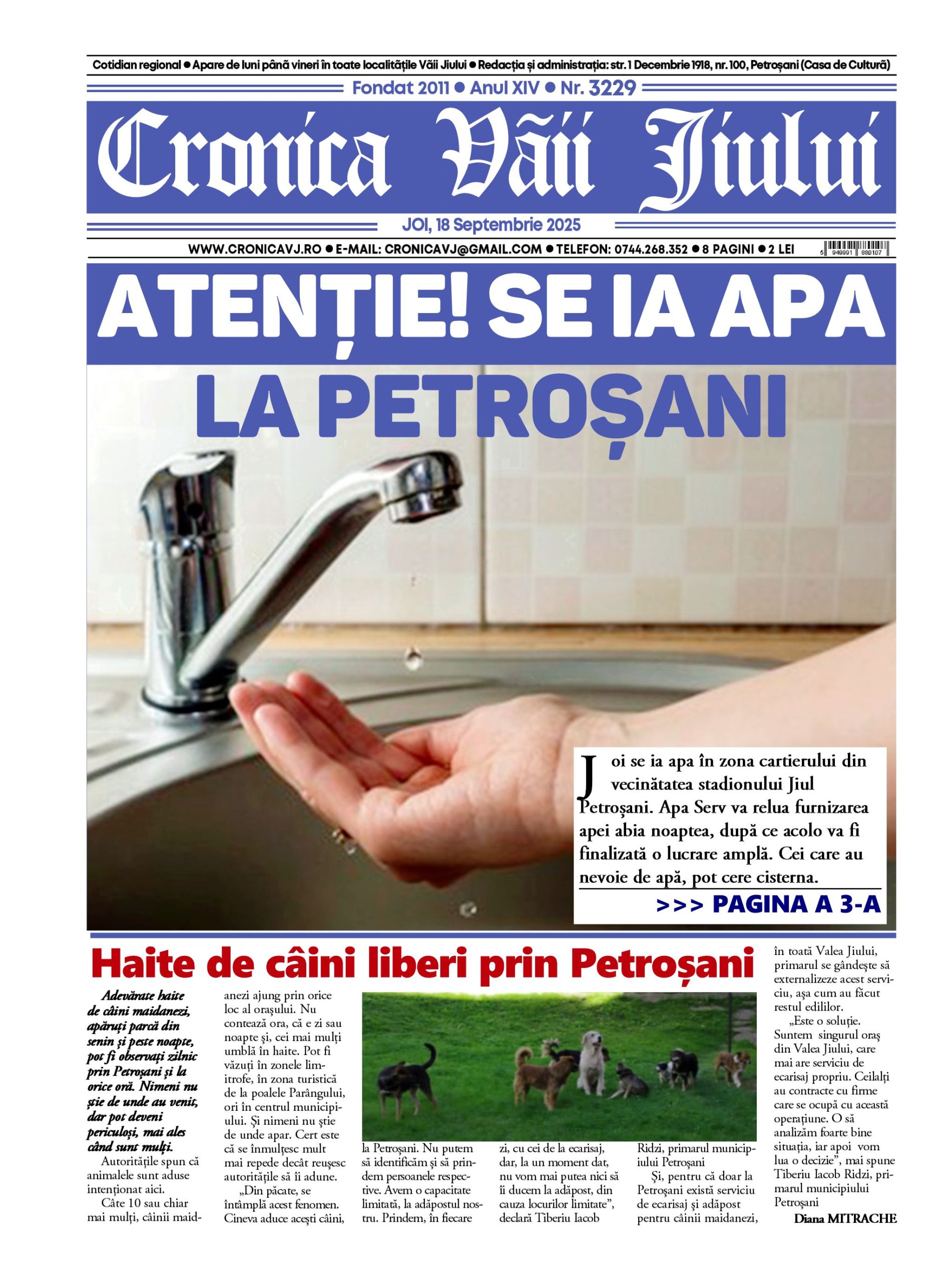 pag1 1