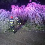 Noapte albă pentru pompierii hunedoreni: zeci de intervenții pentru degajarea drumurilor blocate de copaci doborâți de vânt și ninsoare