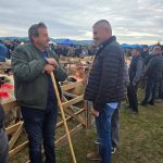 Târgul de Toamnă de la Totești – o sărbătoare a comunității și a tradițiilor hunedorene