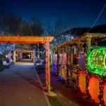 Decorațiunile de Crăciun – atractive pentru hoți