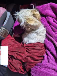 1ec350bb-5e11-4fae-8b29-3564ed2ffdb3