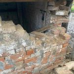 Un urs a atacat o gospodărie din Vulcan