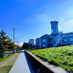 Blesteme și regrete la Poliția Locală Vulcan