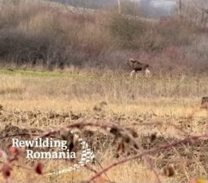 att.FfhuTUGDFzXOJNRqQdg8bGIGawu7_n5M-s2UhhlbFVI