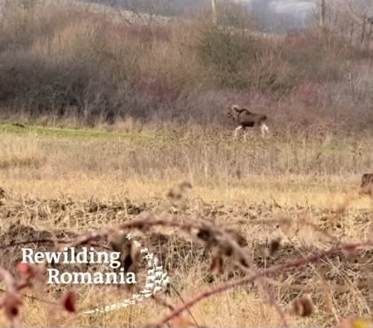 att.FfhuTUGDFzXOJNRqQdg8bGIGawu7_n5M-s2UhhlbFVI