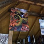 Expoziție fotografică de Ziua Munților