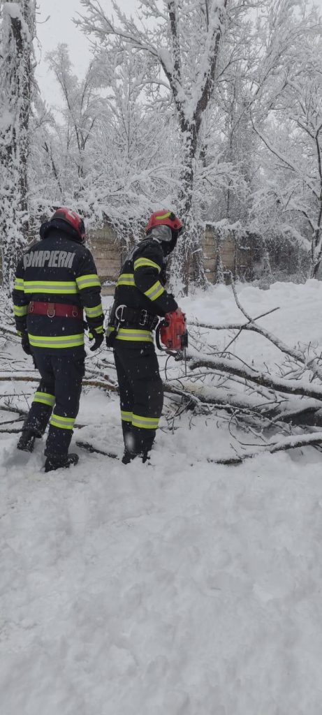 03f00d5f-93db-4bb3-b4dd-5285a3fd4894