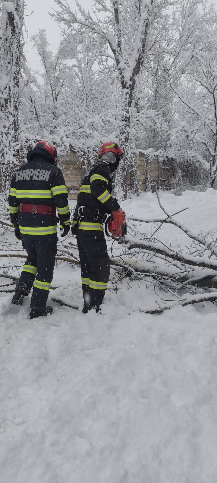 03f00d5f-93db-4bb3-b4dd-5285a3fd4894