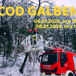 Cod galben de ninsori în Hunedoara