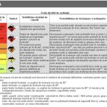 Risc însemnat de avalanșe în masivele Parâng–Șureanu, Godeanu și Țarcu