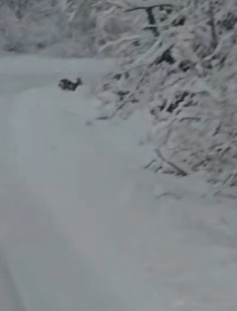 att.HMh94q2hnmjR_0O4Zkd_0itTupHabGZNmkJPf4C_f4Q