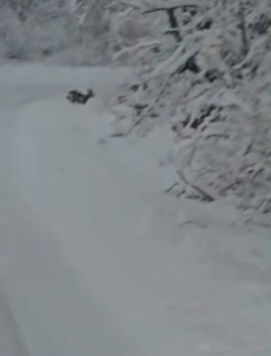 att.HMh94q2hnmjR_0O4Zkd_0itTupHabGZNmkJPf4C_f4Q