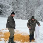 Animalele din păduri hrănite de silvicultori