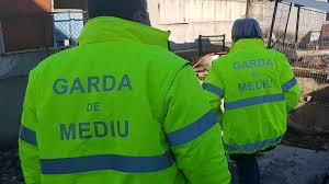 garda