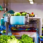 Eisberg, un reper privind securitatea alimentară a salatelor gata de consum