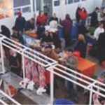 Client amenințat cu bătaia într-o piață din Petroșani