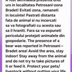 Alarmă la urs? Sau doar niște „voci”?