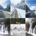 Zăpada și gheața transformă DN 7A într-un peisaj de poveste