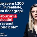 Iazuri „pe hârtie”, gropi în realitate. Hunedoara, printre județele afectate de exploatările mascate de agregate minerale