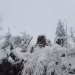 Grad 4 de avalanșă în munți