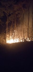 5911eb43-eb5a-4071-814d-721f46a8948d