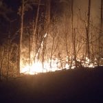 Incendiu de vegetație în zona Cozia: intervenție dificilă a pompierilor hunedoreni