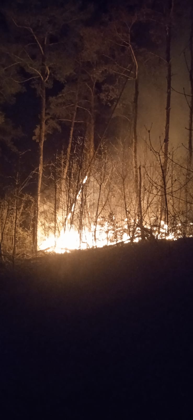 5911eb43-eb5a-4071-814d-721f46a8948d