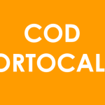 Cod Portocaliu de vreme rea. A fost emis RO Alert