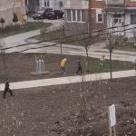 Primarul Cristian Merișanu, dezamăgit de vandalismul din noul parc: „Așa nu vom avea nimic frumos în Vulcan”