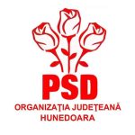 EȘECURI, CONTRADICȚII ȘI CONFUZII  LA VÂRFUL PNL HUNEDOARA