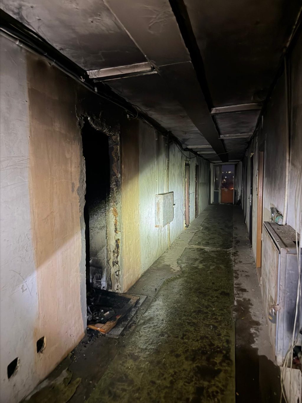 19bf626a-a3da-4042-88f4-8dd0ba6e9ef6