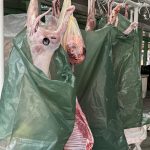 Miei de Paște, la vânzare în Piața Centrală din Petroșani: prețuri între 50 și 60 lei/kg, cumpărători mai cumpătați